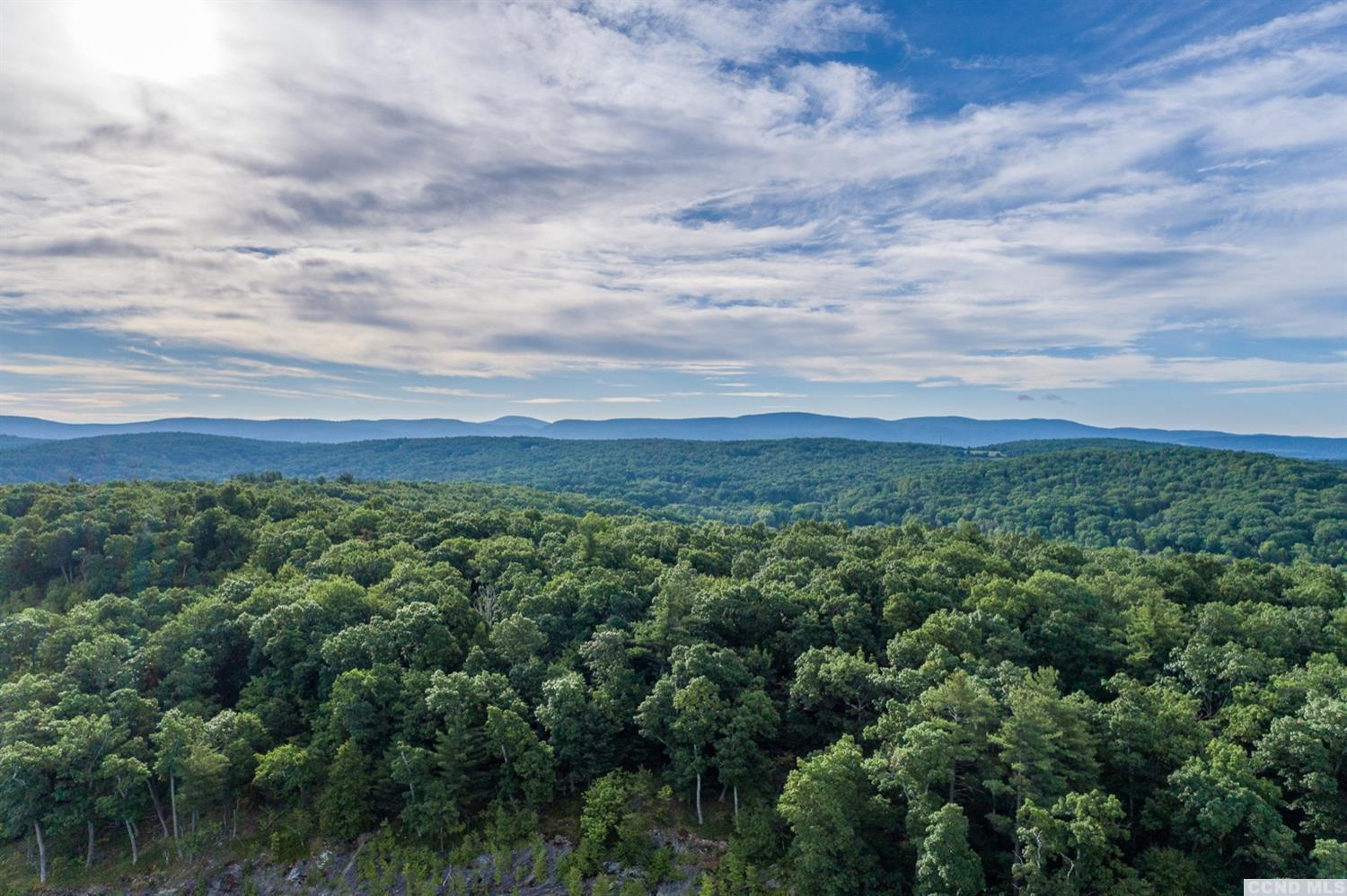 181 Golf Course Road Hillsdale, NY 12529 - Photo 24 of 44 an aerial view of residential house with outdoor space