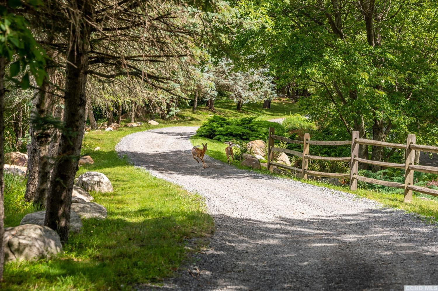 181 Golf Course Road Hillsdale, NY 12529 - Photo 25 of 44 a view of an outdoor space and yard