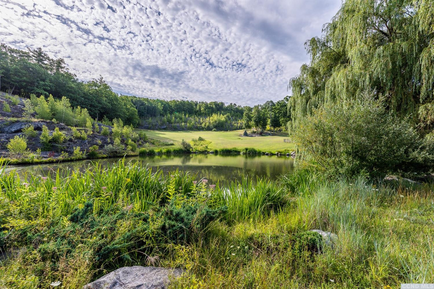 181 Golf Course Road Hillsdale, NY 12529 - Photo 30 of 44 a view of lake with a yard