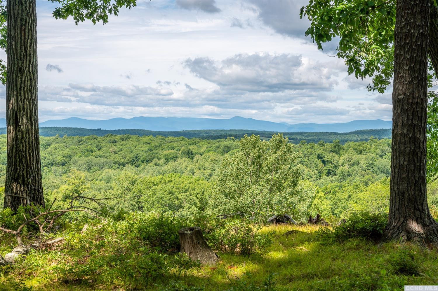 181 Golf Course Road Hillsdale, NY 12529 - Photo 3 of 44 a view of a yard with an outdoor space