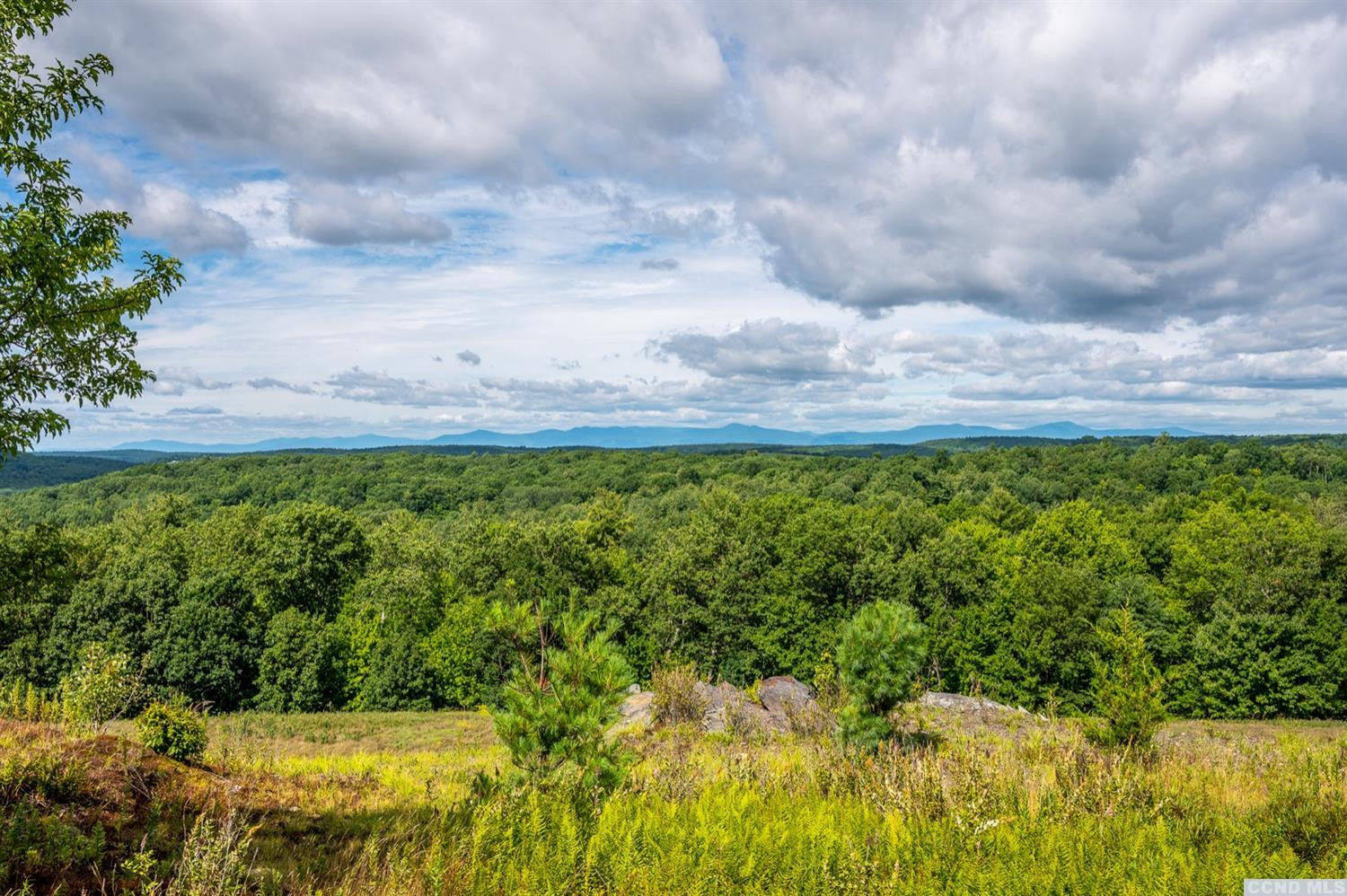 181 Golf Course Road Hillsdale, NY 12529 - Photo 35 of 44 a view of a garden