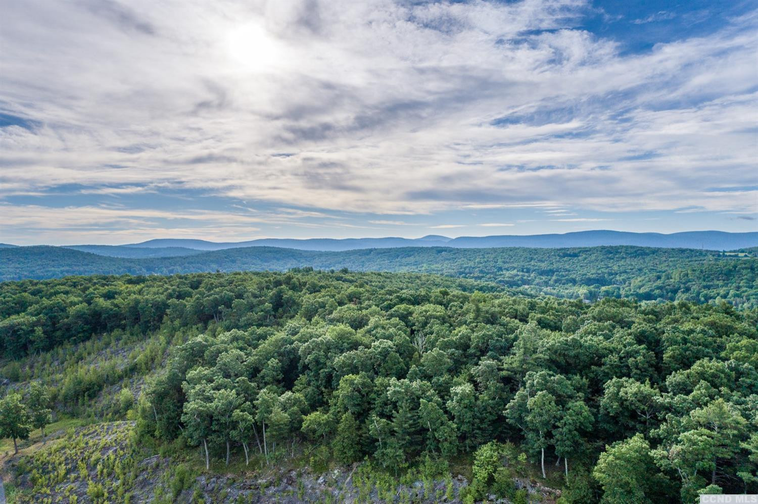 181 Golf Course Road Hillsdale, NY 12529 - Photo 36 of 44 an aerial view of residential house with outdoor space