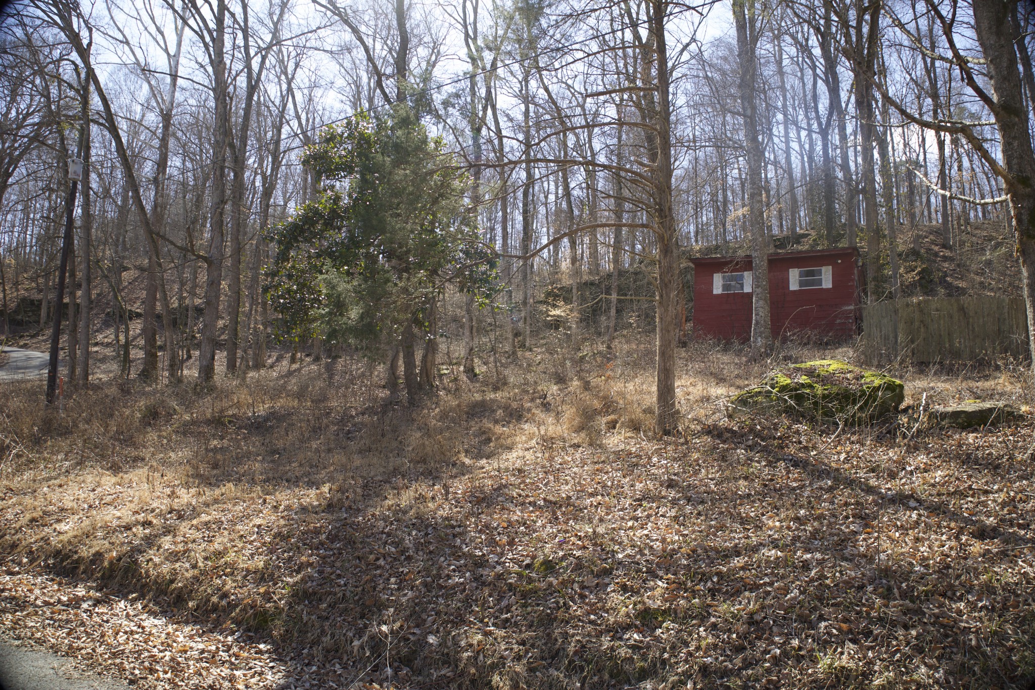 0 Clifty Creek Road Lewisburg, KY 42256 - Photo 3 of 6