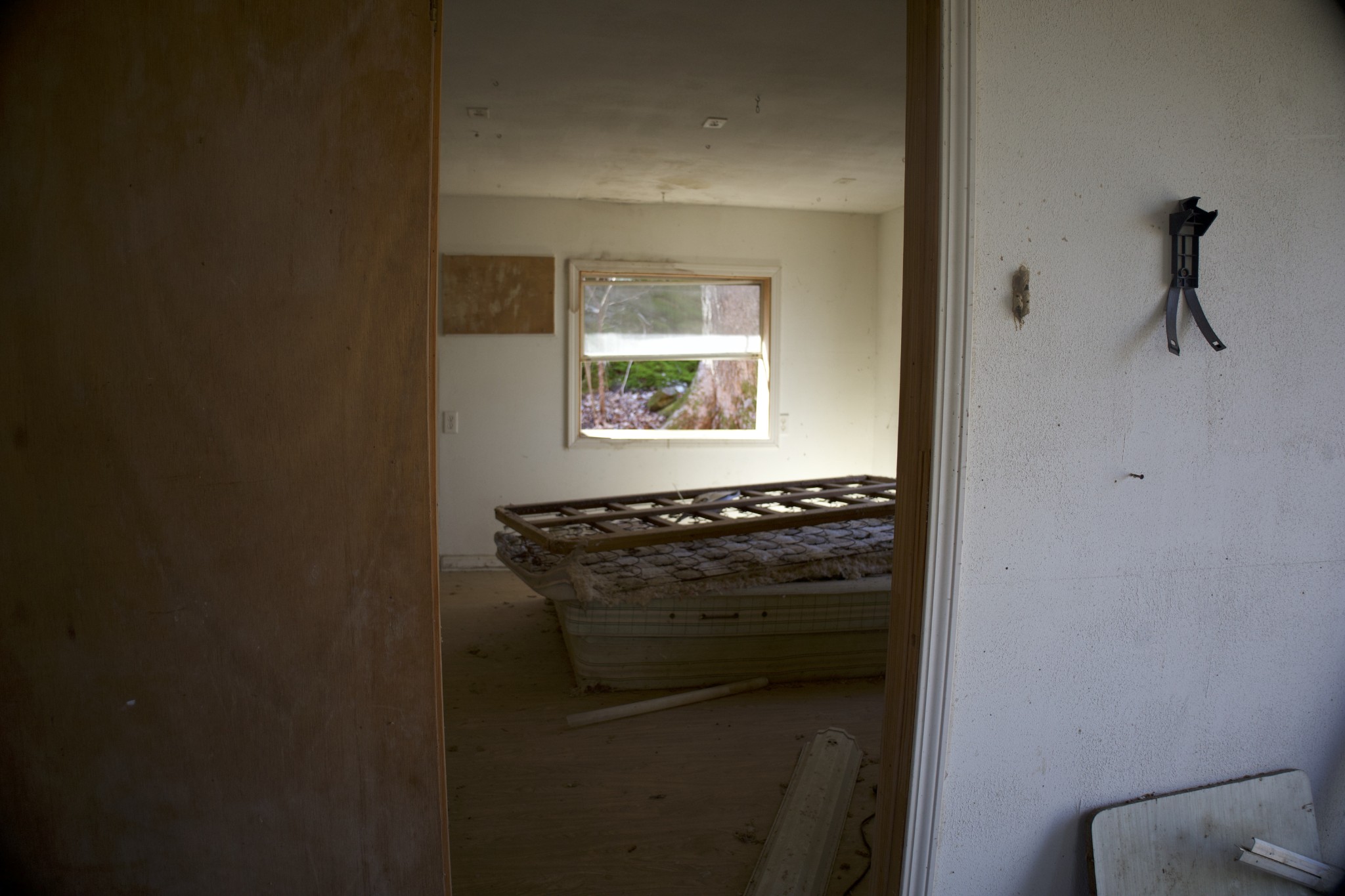 0 Clifty Creek Road Lewisburg, KY 42256 - Photo 5 of 6