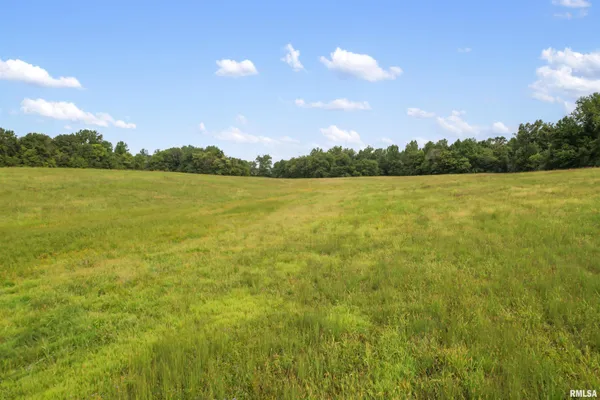 $169,600 | 0 Wing Hill Road, Cobden, IL 62920