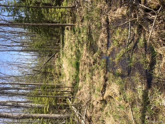 9635 Indian Reserve Road Alpena, MI 49707 - Photo 21 of 30 Gallery Image 21