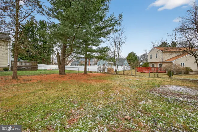 a view of park with large trees