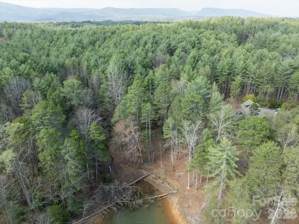 a view of a forest with a trees