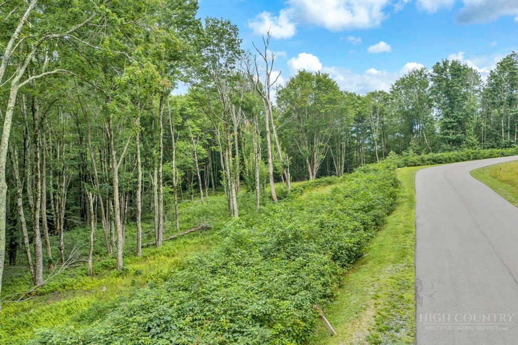 Trail Trail Banner Elk, NC 28604 - Photo 14 of 35 Gallery Image 14