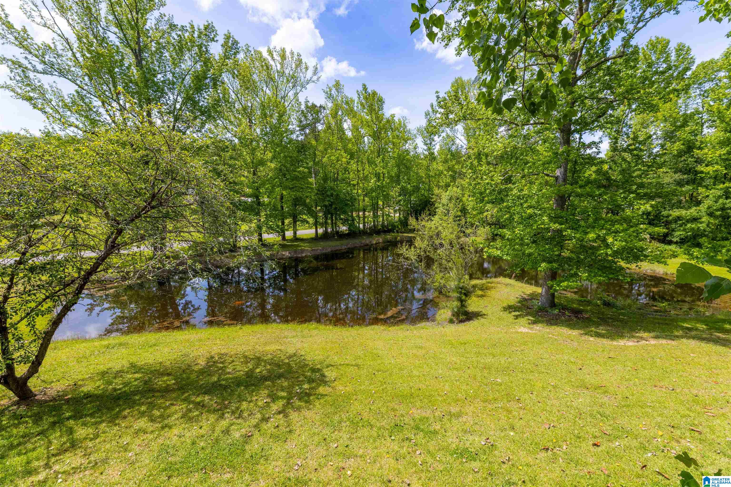 1136 Littlejohn Road Jacksonville, AL 36265 - Photo 30 of 34