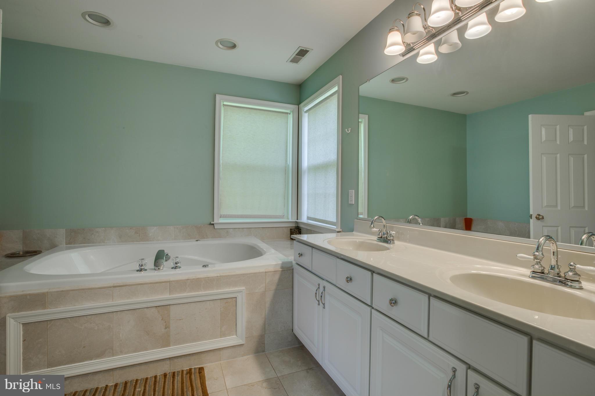14219 Robcaste Road Phoenix, MD 21131 - Photo 18 of 30 Bath (Master)