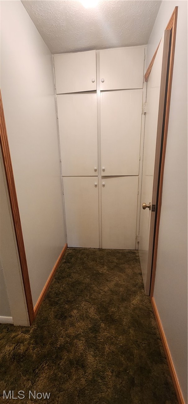 10966 Kile Road Chardon, OH 44024 - Photo 14 of 32 Hallway featuring dark carpet and a textured ceiling and linen cupboards