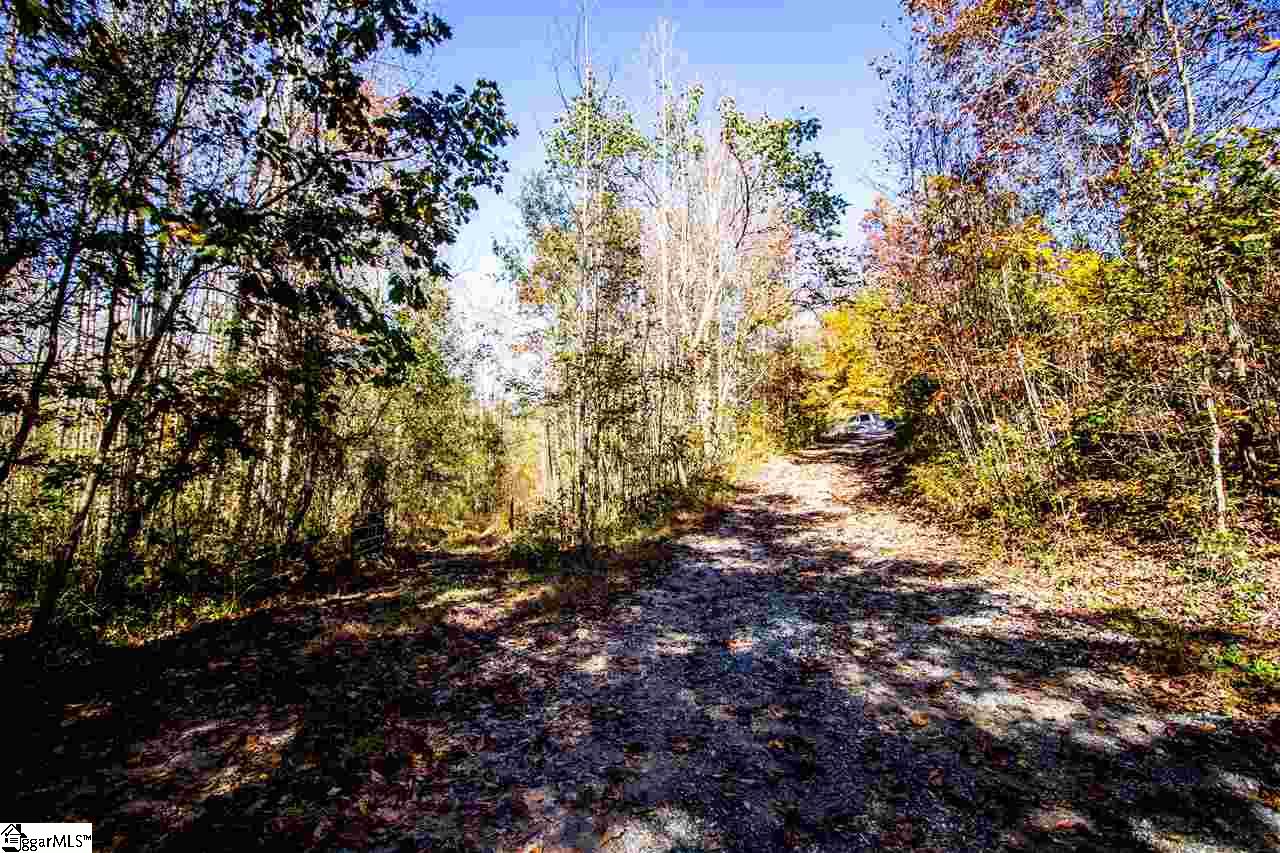 1230 Holly Bush Road Easley, SC 29640 - Photo 33 of 36