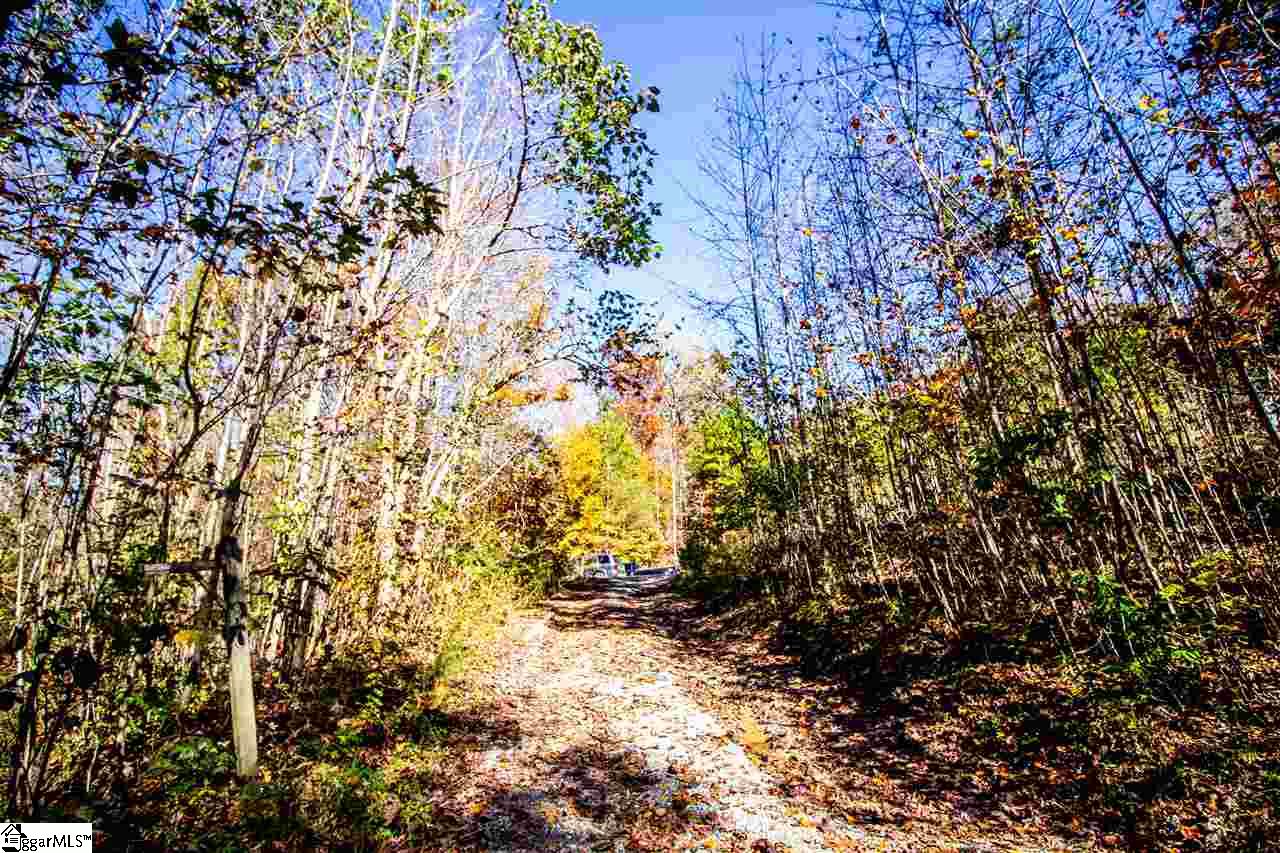1230 Holly Bush Road Easley, SC 29640 - Photo 34 of 36