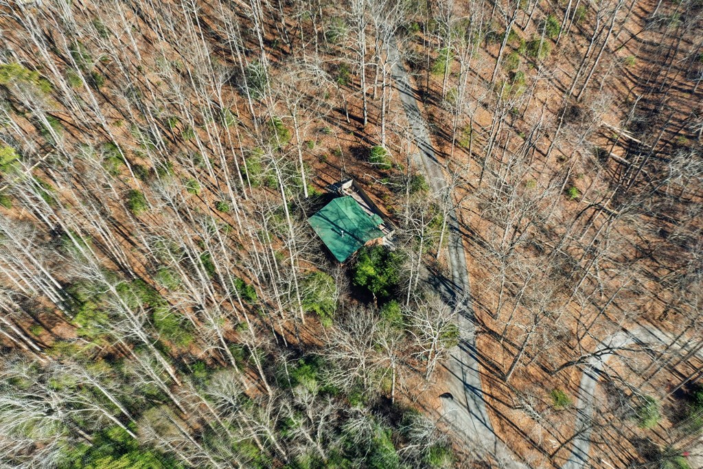 266 Chimney Rock Road Blue Ridge, GA 30513 - Photo 35 of 38
