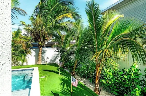 a view of a yard