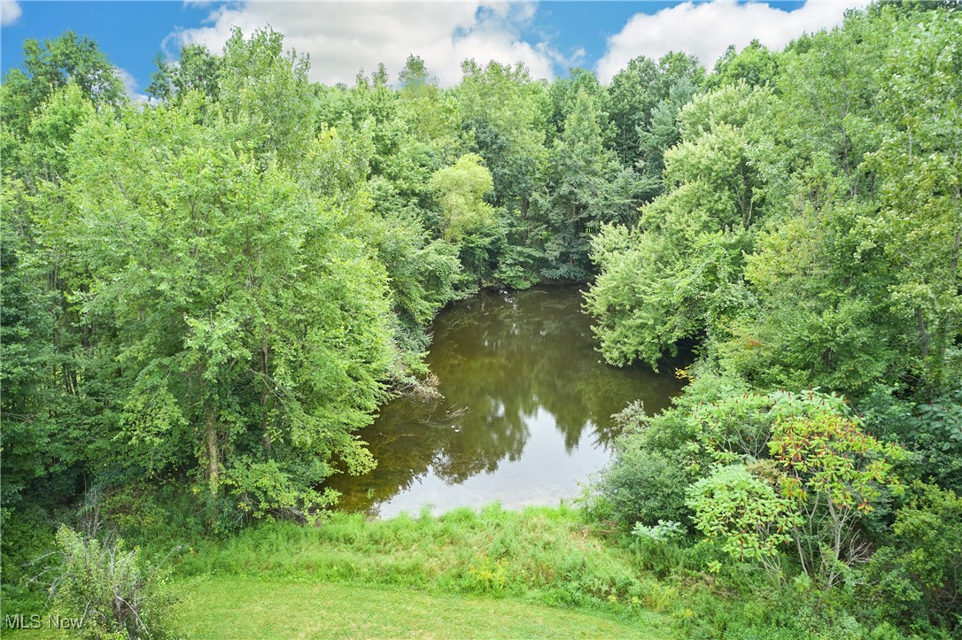 4196 Webb Road Ravenna, OH 44266 - Photo 8 of 29 Pond in rear of property