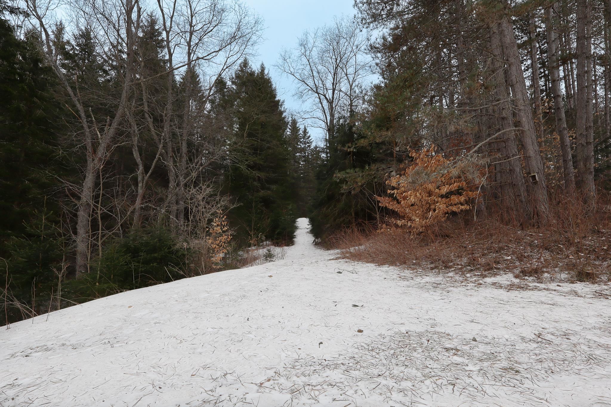 632 North 29 Road Cadillac, MI 49601 - Photo 52 of 59 Gallery Image 52