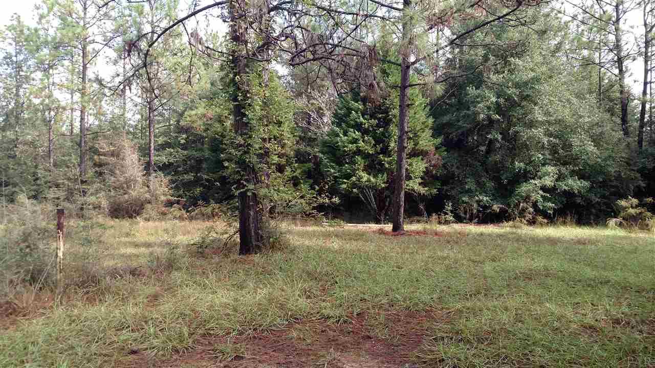 9101 Abb Pittman Road Milton, FL 32570 - Photo 3 of 4