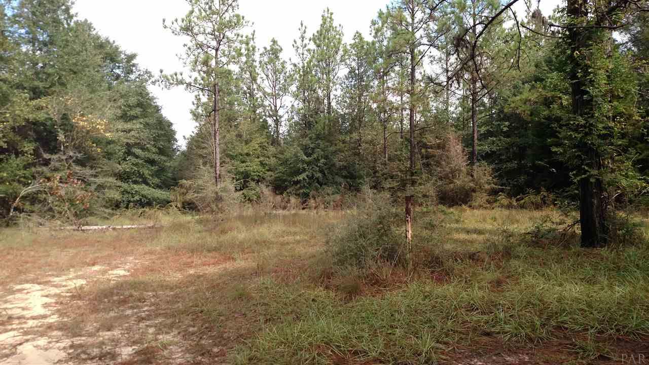 9101 Abb Pittman Road Milton, FL 32570 - Photo 4 of 4