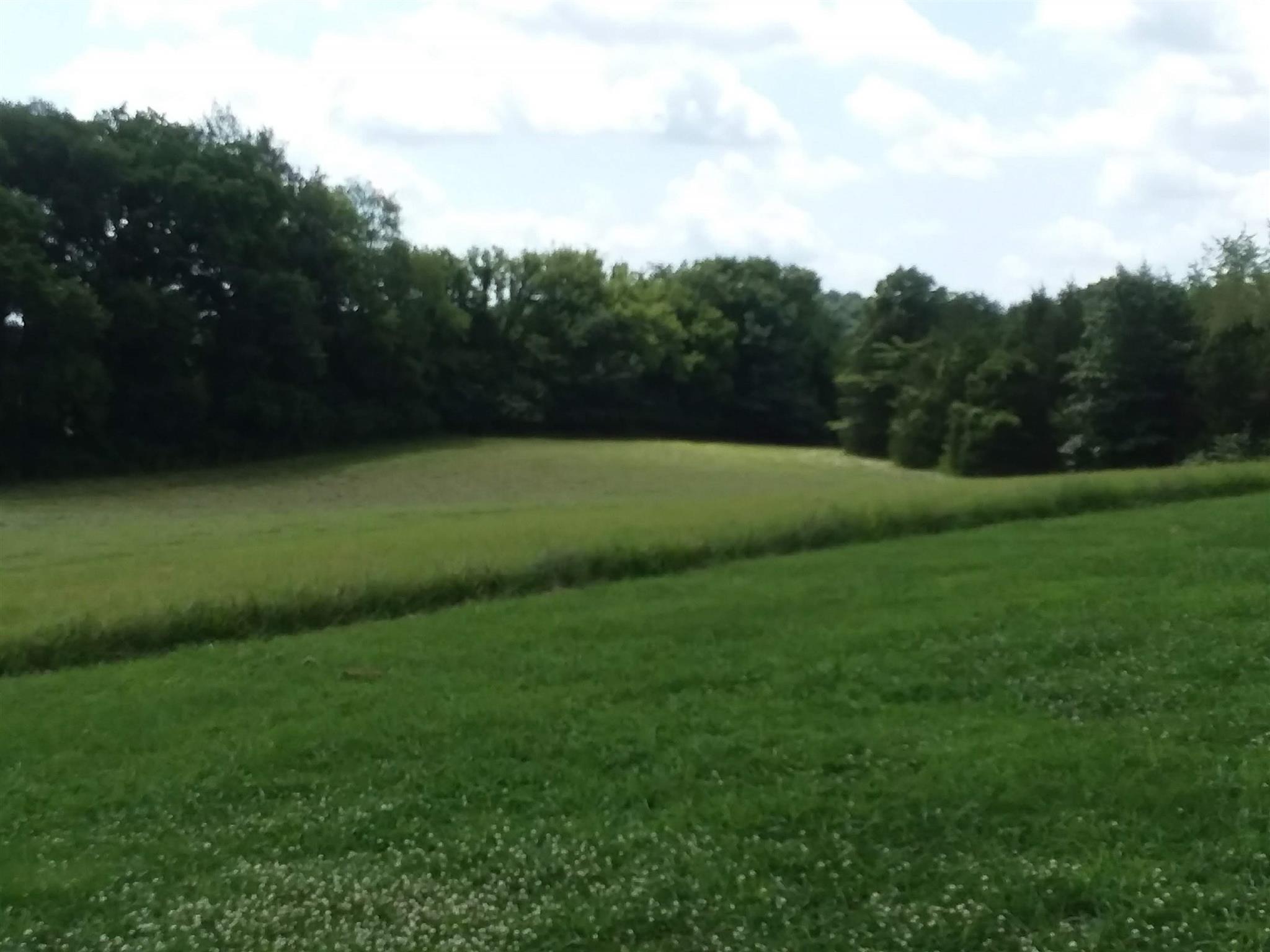 4813 Hardison Mill Road Columbia, TN 38401 - Photo 10 of 28