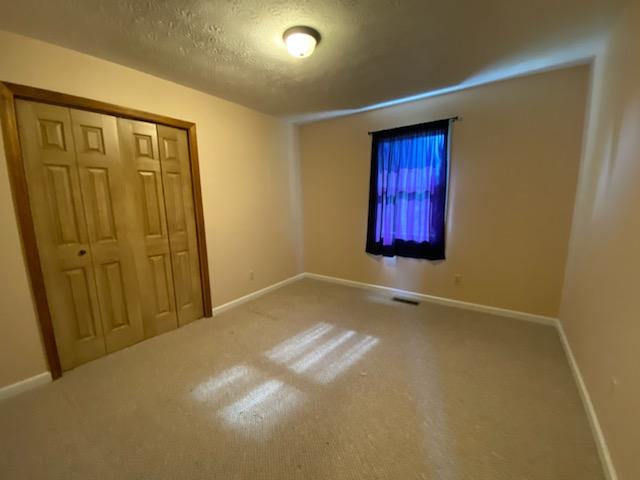 361 Sand Cave Road Ewing, VA 24248 - Photo 11 of 14 IMG_7052