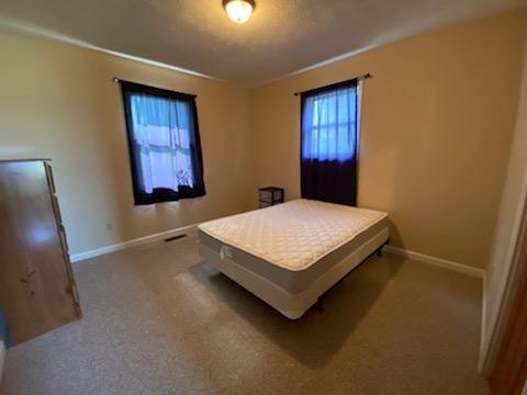 361 Sand Cave Road Ewing, VA 24248 - Photo 13 of 14 IMG_7054