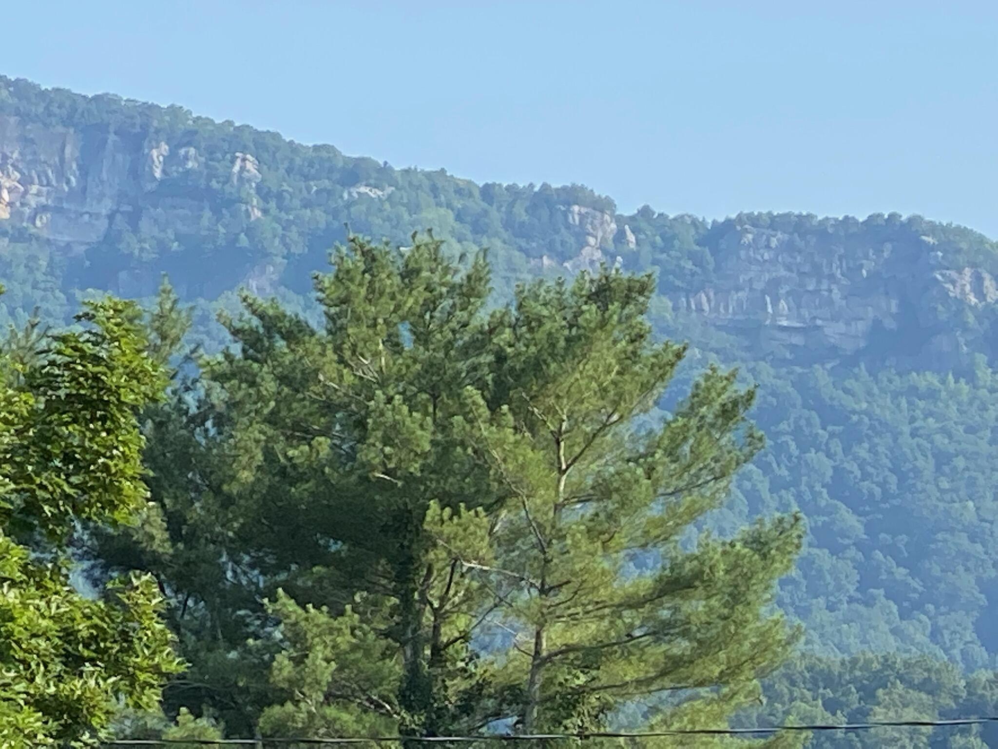 361 Sand Cave Road Ewing, VA 24248 - Photo 14 of 14 649172353