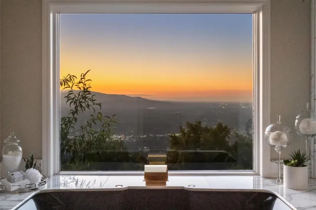 a yard with lots of trees and some trees