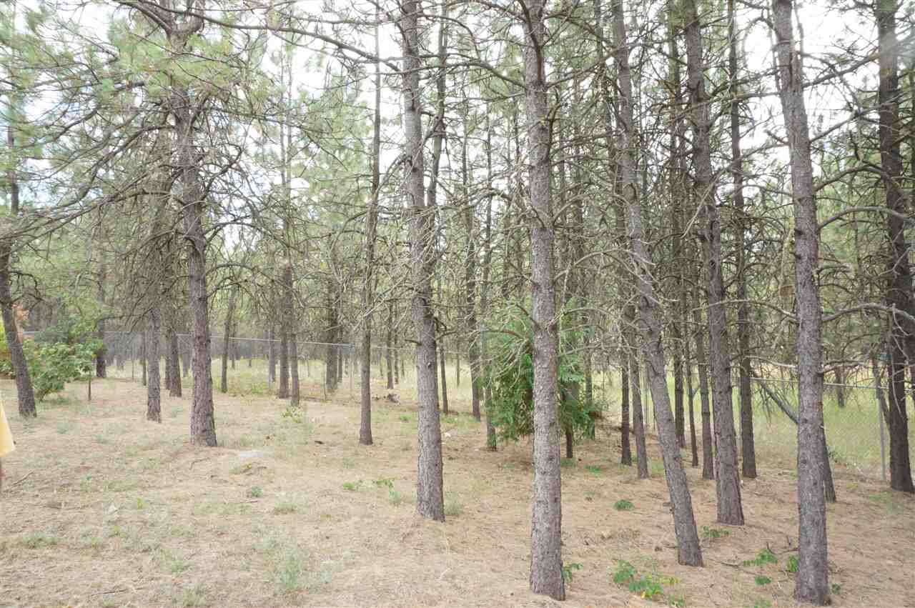7806 South Carnation Road Spokane, WA 99224 - Photo 19 of 20
