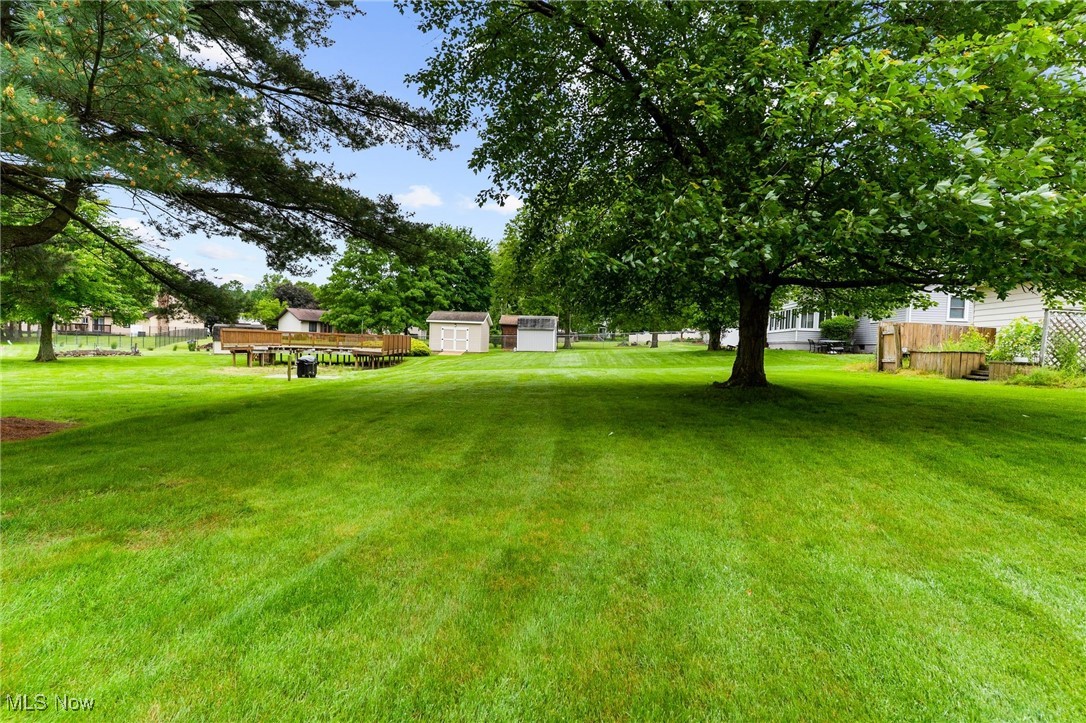 1295 Shields Road Youngstown, OH 44511 - Photo 4 of 27 View of yard