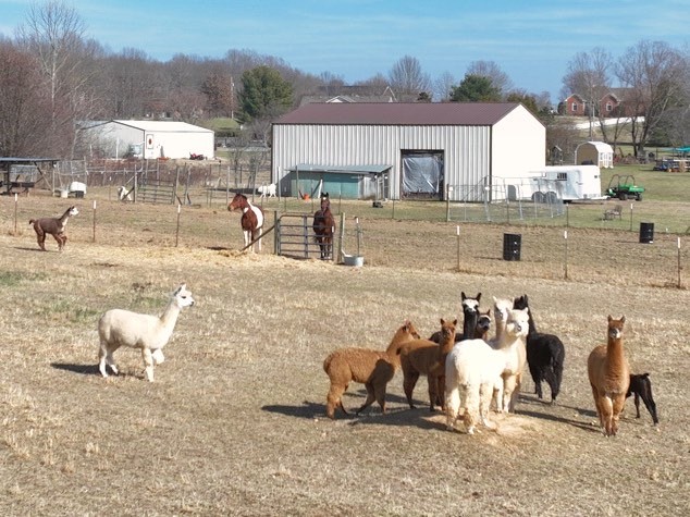 3376 Maxie Jones Road Springfield, TN 37172 - Photo 41 of 48 a room with lots of chairs and mirrors