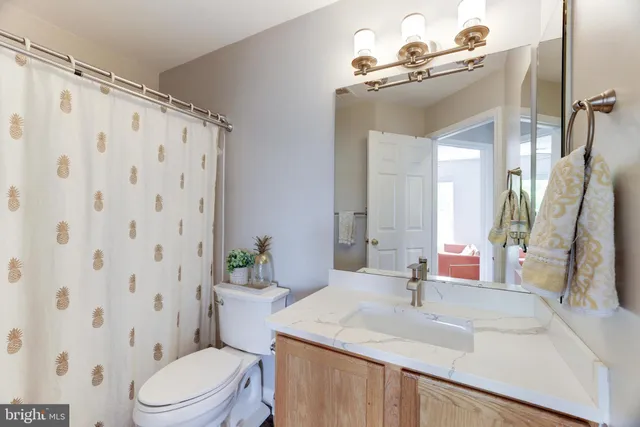 a bathroom with a sink a toilet a mirror and shower curtain