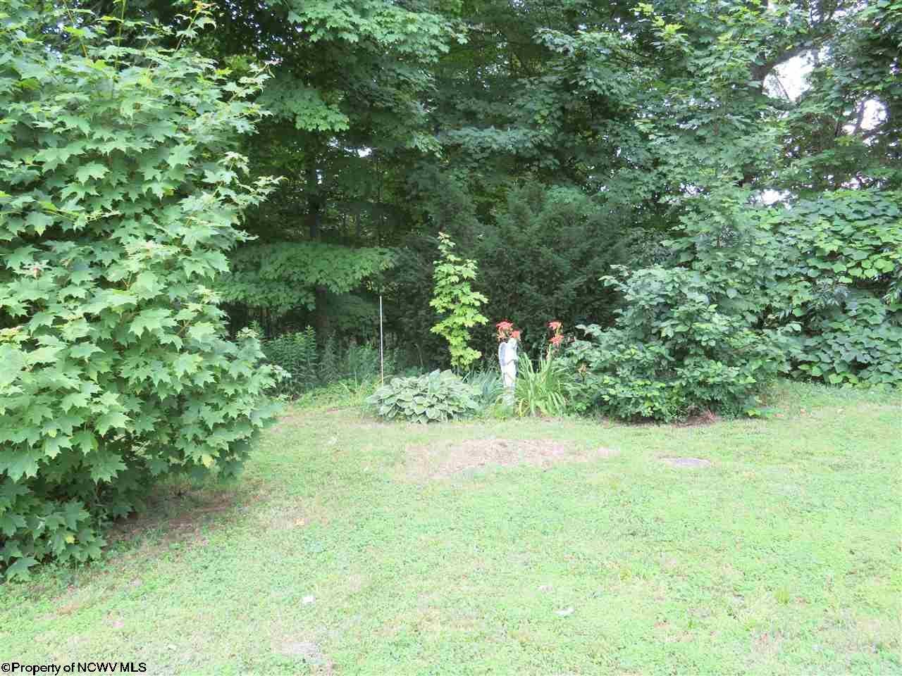 119 Valley Falls Road Fairmont, WV 26554 - Photo 8 of 20 Gallery Image 8