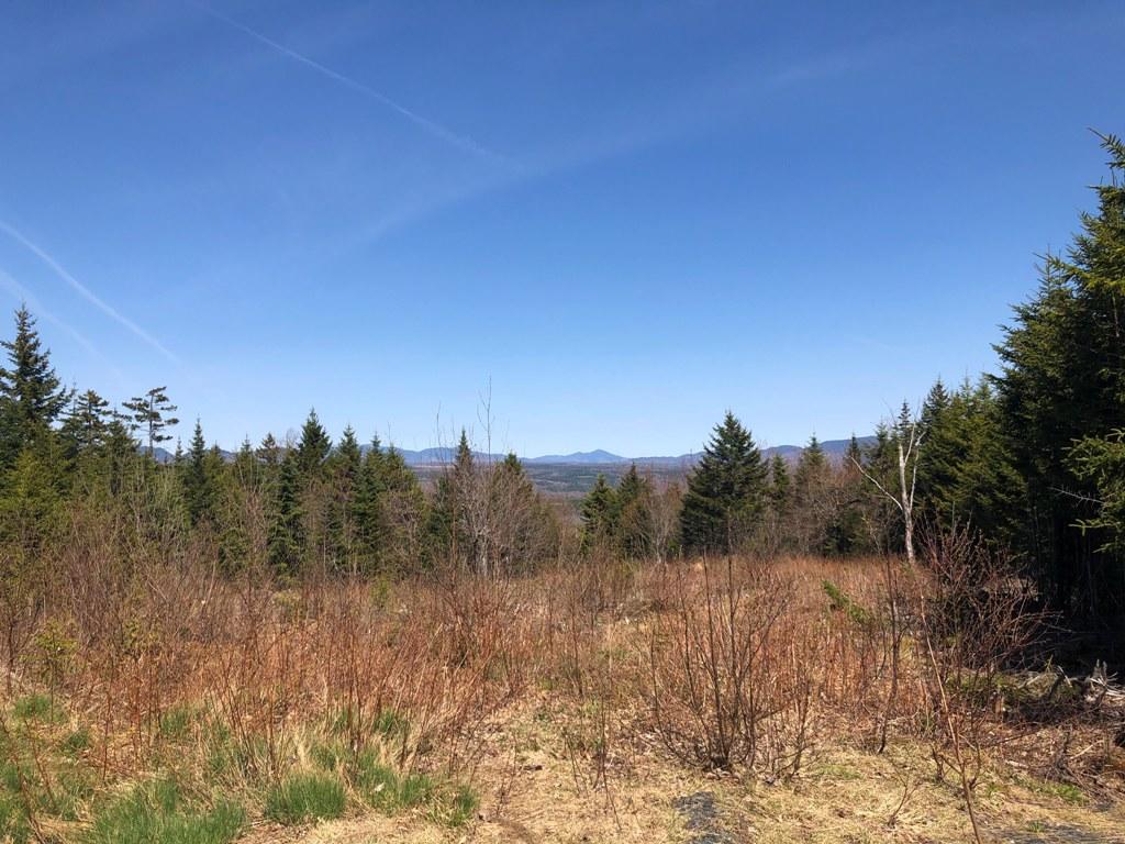 Tbd Tbd Alpine Ridge, Unit LOT 10 Greenville, ME 04441 - Photo 13 of 14 IMG_1656