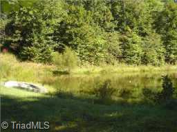 1334 Peter Mabe Road Danbury, NC 27016 - Photo 4 of 7 Other.