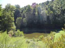 1334 Peter Mabe Road Danbury, NC 27016 - Photo 6 of 7 Other.