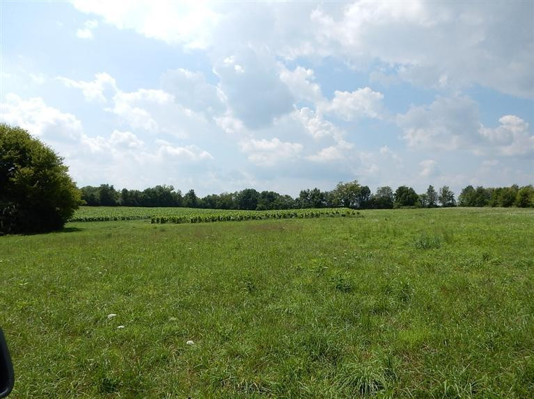 3595 Clifton Road Versailles, KY 40383 - Photo 1 of 9 Photo 1