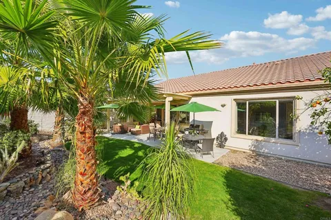a view of a water fountain and a palm tree next to a yard