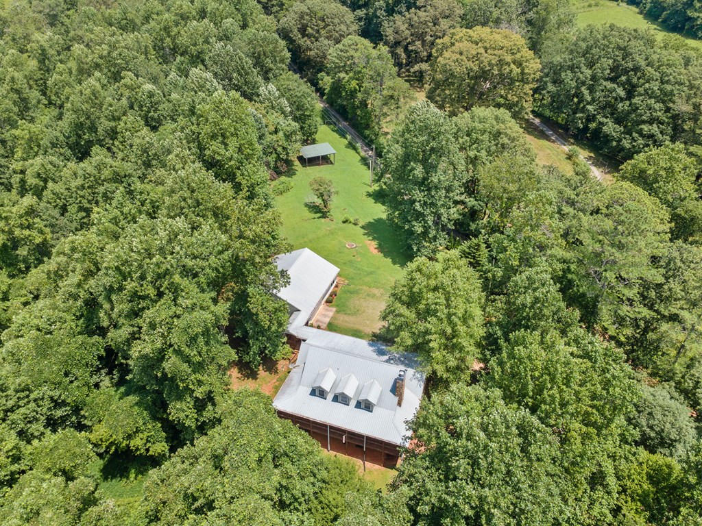 564 Scrougetown Road Ellijay, GA 30536 - Photo 6 of 58 Gallery Image 6