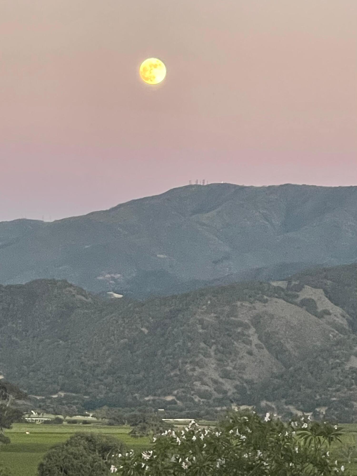 724 North Refugio Road Santa Ynez, CA 93460 - Photo 17 of 17 a view of a field with a mountain in the background