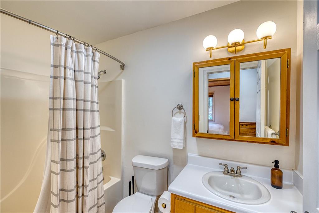 357 Mystic Lane Blue Ridge, GA 30513 - Photo 22 of 58 a bathroom with a sink a toilet and shower