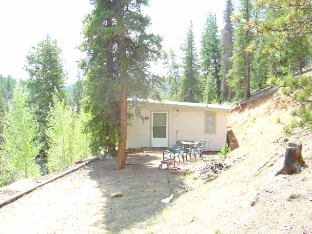 213 Brown Road Bailey, CO 80421 - Photo 1 of 1 a backyard of a house with table and chairs in it