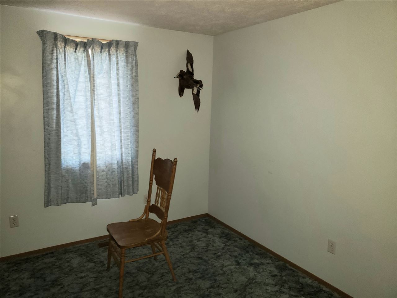 10629 Billman Road Roscommon, MI 48653 - Photo 11 of 28 1877753-10.JPG