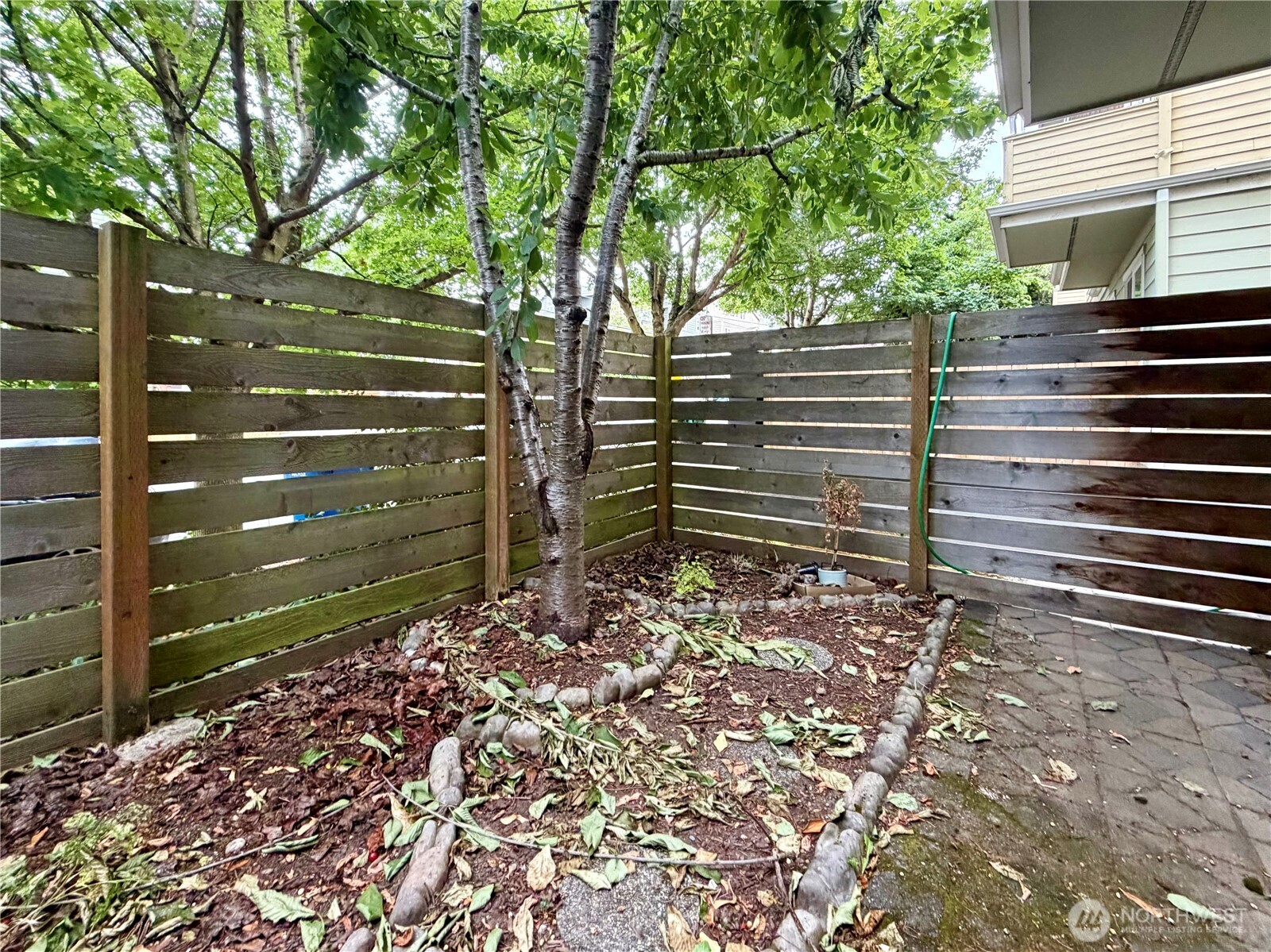9216 Stone Avenue North, Unit B Seattle, WA 98103 - Photo 3 of 28