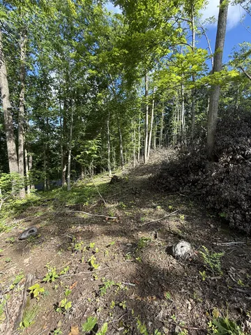 a view of outdoor space and trees