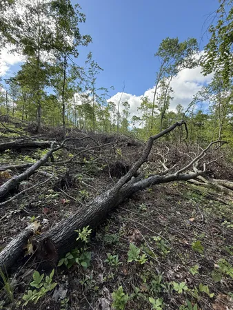 a view of roof with wooden floor