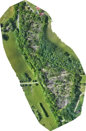 a view of a garden with a pathway