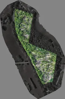 $210,000 | 0 Rock Bridge Road, Bethpage, TN 37022