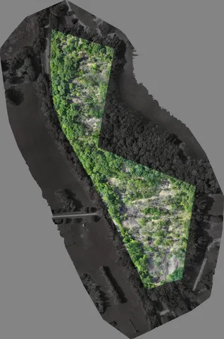 $210,000 | 0 Rock Bridge Road, Bethpage, TN 37022